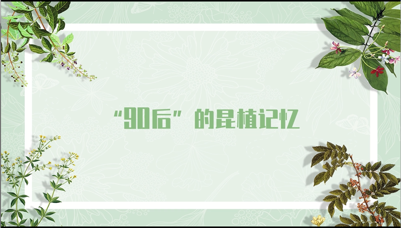 “90后”的昆植记忆.png