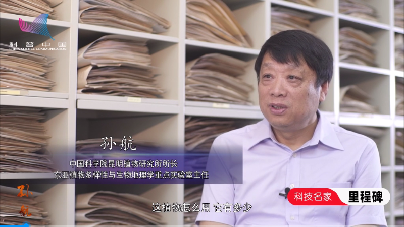 孙航.png