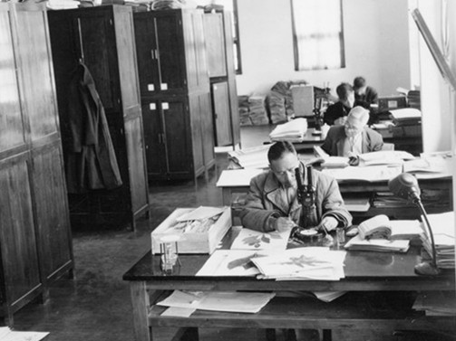 上世纪五六十年代，标本馆工作实景1_副本_副本.jpg