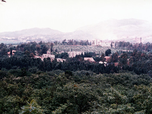 1985年植物所全景_副本_副本.jpg
